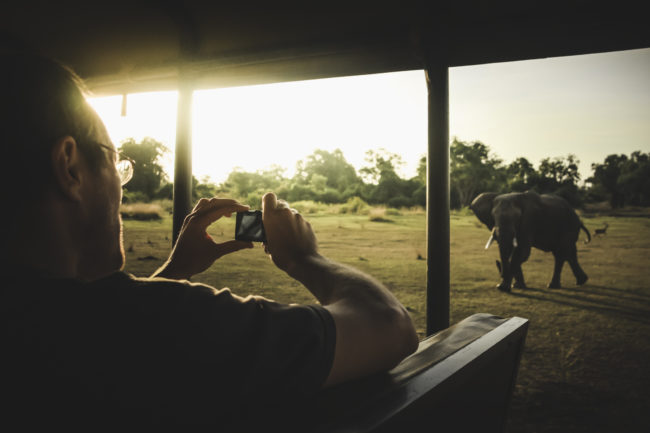 Sambia Safari Mann, der einen Elefanten aus einem Safarifahrzeug fotografiert